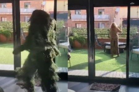 Broma pesada: Regaba sus plantas y se encontró con un "hombre arbusto"