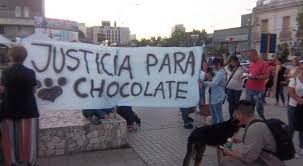 Marchas para pedir justicia por Chocolate, el perro que fue despellejado
