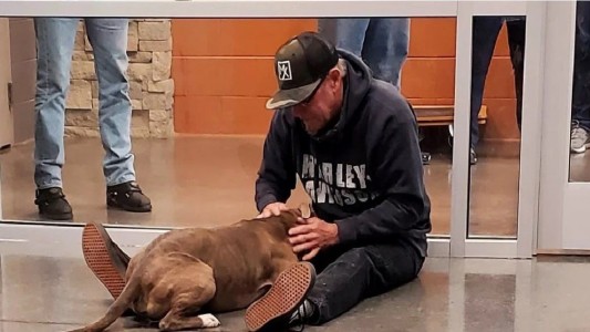 Video: el momento en que un hombre se reencuentra con su perro tras 200 días