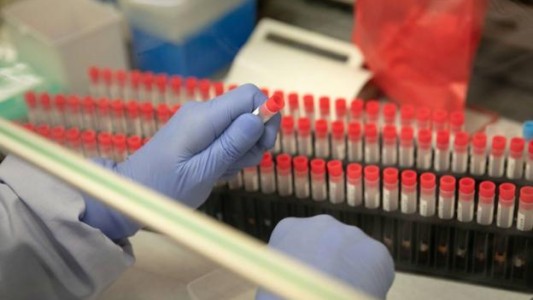 La OMS reiteró que la pandemia está lejos de terminar