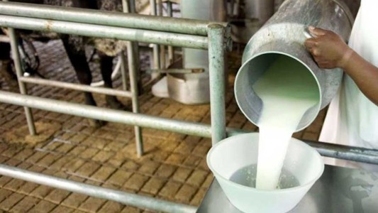 Condenan a una pareja por esclavizar a un joven en un tambo durante 4 años: detalles escalofriantes