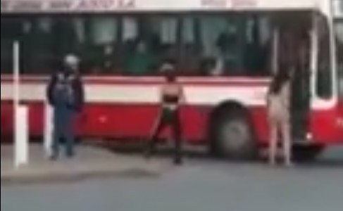 Otro relato salvaje contra un colectivero: una mujer trans atacó a un chofer