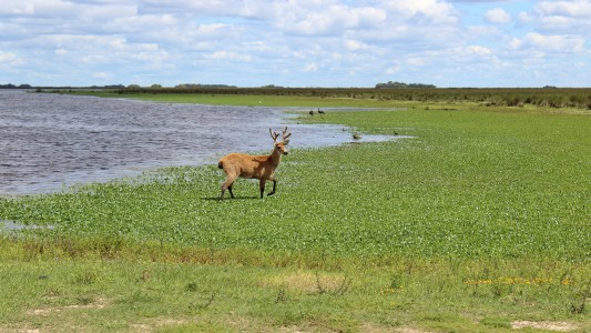 Escapadas: dos parques nacionales en territorio bonaerense