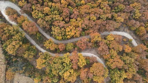 Hallaron un granero de 2.000 años de antigüedad con bodegas llenas de granos