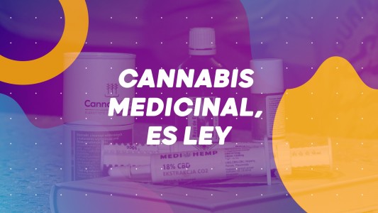 El gobierno autorizó el autocultivo de cannabis, Fernández dio negativo - #BuenFlash