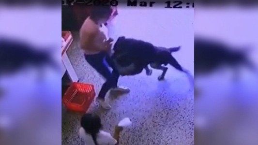 Video aterrador: el momento en que un perro ataca a un nene en la puerta de un supermercado chino