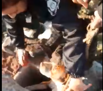 Video: el conmovedor rescate de un perro atrapado en una fosa
