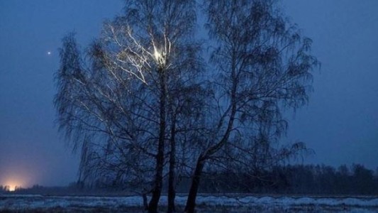 Video: el joven siberiano que trepa un árbol de 10 metros para tener Internet y poder estudiar