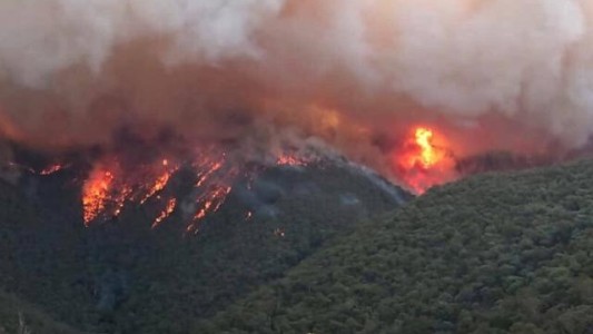 Nueva ola de calor en Australia prende las alarmas por la posibilidad de incendios forestales