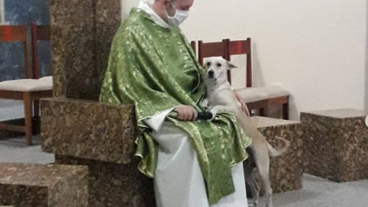 Un sacerdote da misa con perros abandonados para que sean adoptados