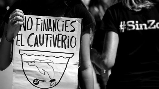 Denuncian uso de animales en espectáculo de Mundo Marino y piden que se cumpla una ordenanza que lo prohíbe