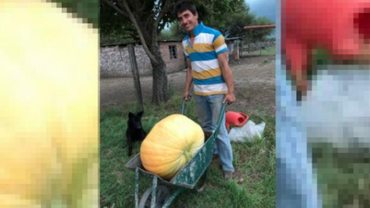 Cosecharon un zapallo de 30 kilos en una huerta de Santa Fe