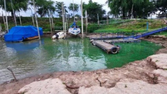 Recomiendan no ingresar a zonas del río Paraná donde se detecten manchas verdes en la superficie