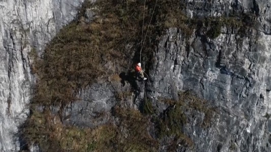"Recolectores Spiderman": levantan la basura de turistas colgados a 400 metros de altura