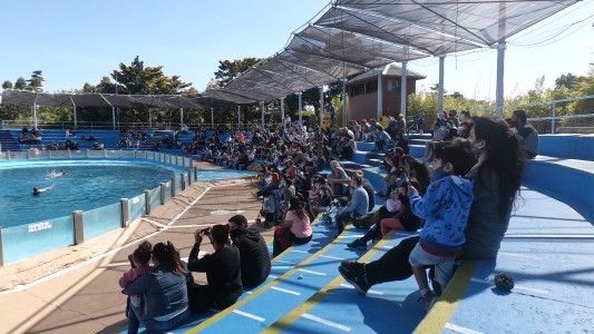 Dos mil turistas visitaron el Parque Educativo Mundo Marino el fin de semana largo