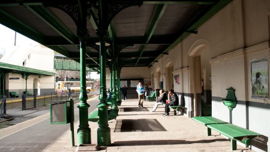 Parte desde La Plata un "tren verde" para reclamar la sanción de la IVE
