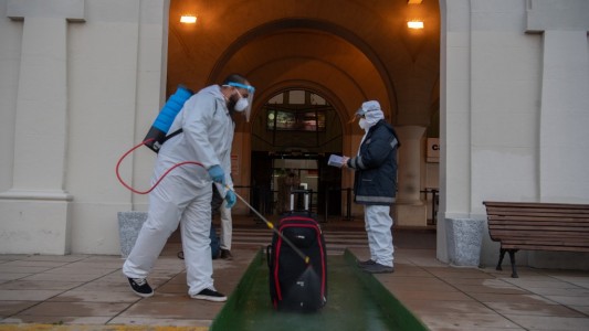 Vizzotti: 90% de personas con coronavirus generó anticuerpos, pero "no de por vida"