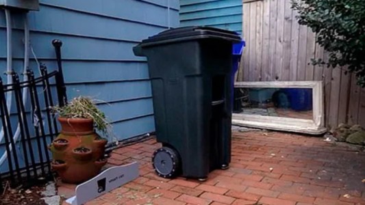 Vecina le dejó dos meses un contenedor de basura para cuidar: adentro halló un cadáver