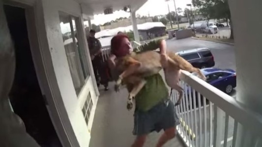 Video: tiró a su perro desde un segundo piso