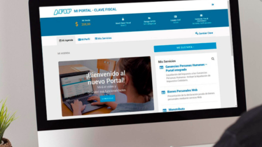 AFIP habilita la web para consultar por la devolución del 35% a la compra de dólar ahorro