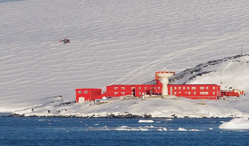 Brote: el coronavirus llegó a la Antártida