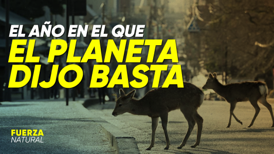 2020: El año en que la Tierra dijo basta