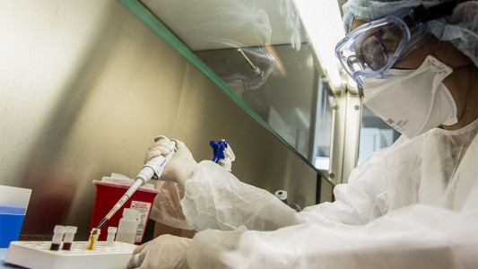 Coronavirus: el Malbrán confirmó la presencia de la cepa de Río de Janeiro en Argentina