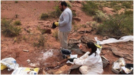 Descubren en Vaca Muerta restos de un dinosaurio de 140 millones de años