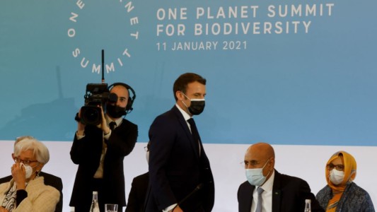 Cumbre en París: 2021 será un año clave para frenar el colapso de la biodiversidad