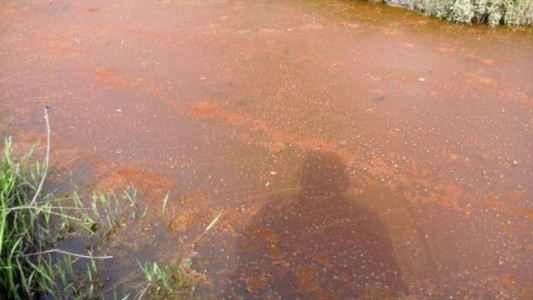 La unidad antilavado querelló a un fabricante de jugo por contaminación ambiental