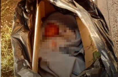 Hallaron a una beba recién nacida abandonada en una caja en Catamarca