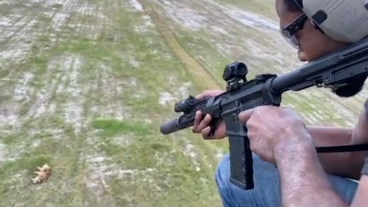 Video: repudio a un luchador de UFC que mató a un jabalí desde un helicóptero