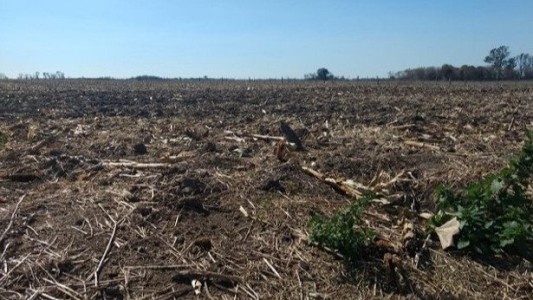 El 2020 fue el segundo año más cálido en Argentina desde que se tiene registro