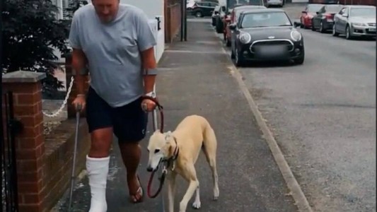 Video: el perro que renguea para imitar el problema de su dueño