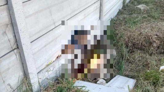 Quiso entrar a robar en una casa, se le cayó una pared encima y murió