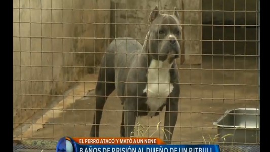 "Lo novedoso es que se enfoque a la responsabilidad del dueño y que no se culpe al animal"
