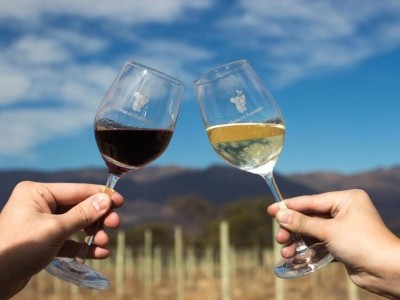 Especialista de vino por un día: turismo en Tafí del Valle