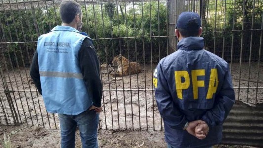 El zoológico de Batán no tiene documentos que acrediten la tenencia de los animales