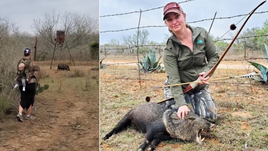 "Caza épica": mató a un jabalí con su beba durmiendo en su espalda