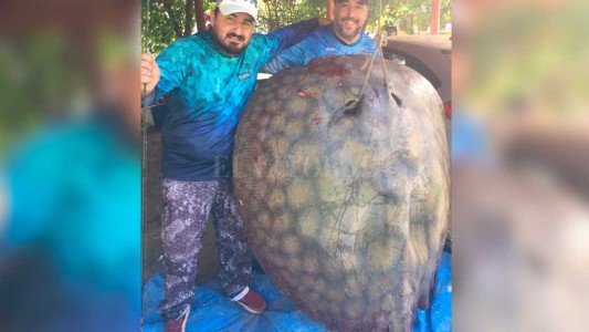 Santa Fe: pescaron una raya de 190 kilos