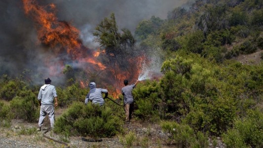 En El Bolsón denuncian 10 incendios por día y más de 30 en Bariloche