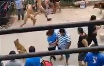 VIDEO: Vecinos desnudan a tres delincuentes y los echan del barrio