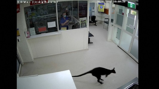 Un paciente que entró a los saltos a la guardia de un hospital