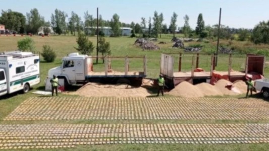 Secuestran dos toneladas de marihuana ocultas en un camión con arroz gracias a la perra Hilda