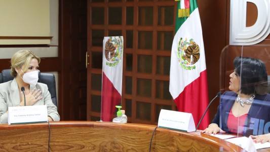Fabiola Yañez se reunió en México con autoridades de la asistencia social a la niñez
