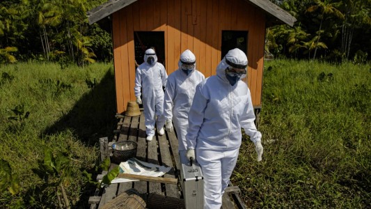 Estudio: cepa amazónica de coronavirus puede reinfectar y ya está en casi todo Brasil