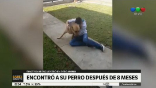 Pergamino: encontró a su perro después de 8 meses