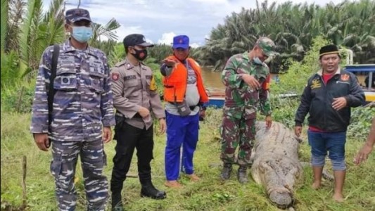 Cocodrilo devoró a un chico de 8 años: vecinos cazaron al animal y recuperaron el cuerpo intacto