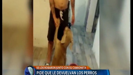 Le robaron una camioneta con dos perros de raza adentro