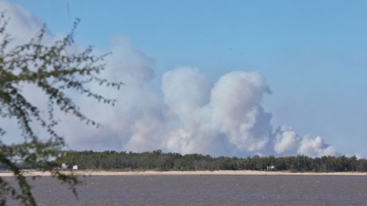 El fuego volvió a las islas del Paraná y también el humo a la ciudad de Rosario
